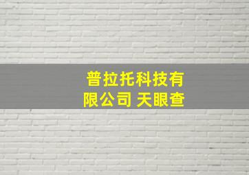 普拉托科技有限公司 天眼查